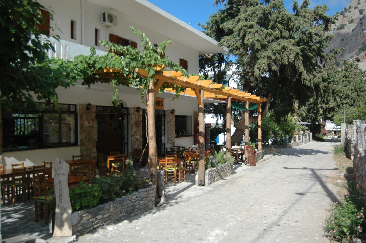 Pachnes Bed And Breakfast Agia Roumeli Exteriér fotografie