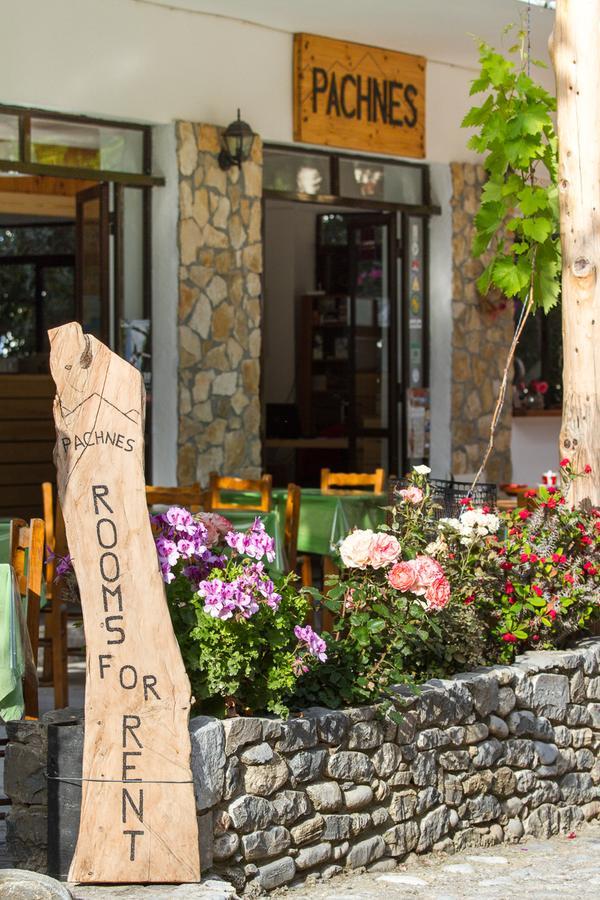 Pachnes Bed And Breakfast Agia Roumeli Exteriér fotografie